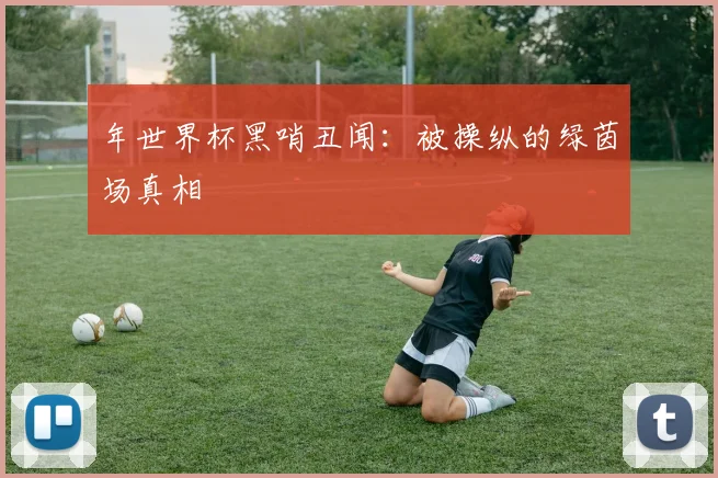 年世界杯黑哨丑闻：被操纵的绿茵场真相