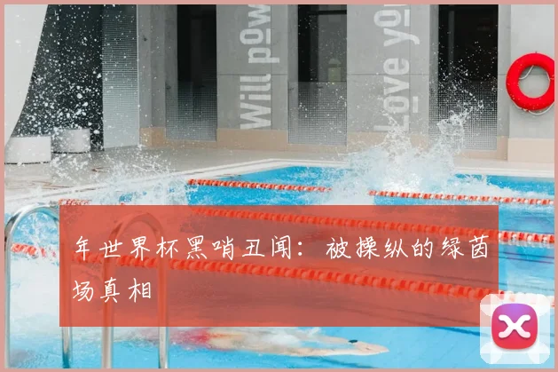 年世界杯黑哨丑闻：被操纵的绿茵场真相
